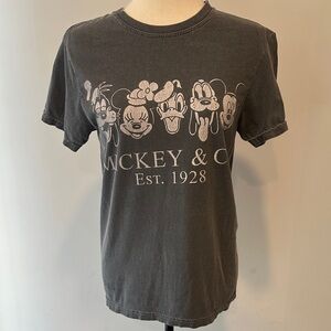 Comfort Colors Disney T-Shirt